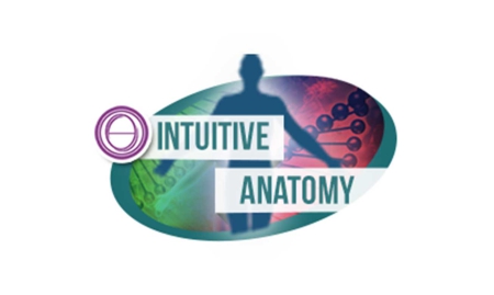 Intuitive Anatomy