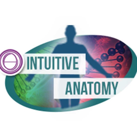Intuitive Anatomy