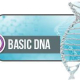 Basic DNA Course 3 days