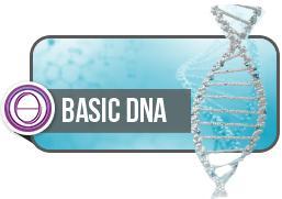 Basic DNA Course 3 days