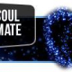 soul-mate course